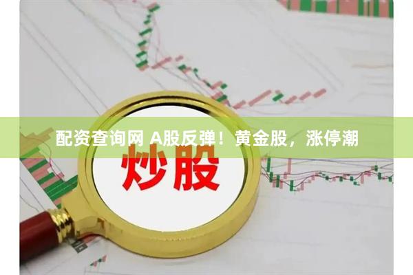 配资查询网 A股反弹！黄金股，涨停潮