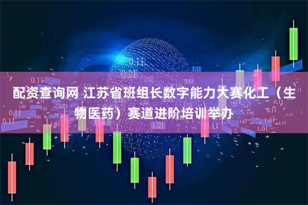 配资查询网 江苏省班组长数字能力大赛化工（生物医药）赛道进阶培训举办